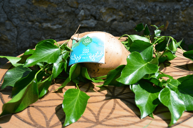 Holy Lama Savon Yogi Neem & Tulsi en feuille de palmier