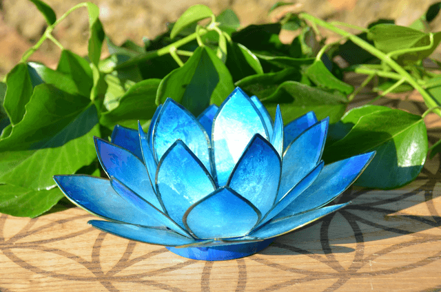 Bougeoir Lotus bleu