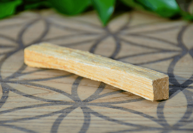 Encens Palo Santo Bois sacré (prix pour 10 gr)