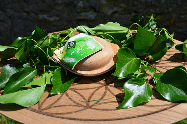 Holy Lama savon &quot;Vetiver Rainforest&quot; en feuille de palmier